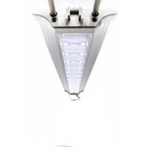 zetlight-lancia-zp400-46w-plant-120cm (3)1